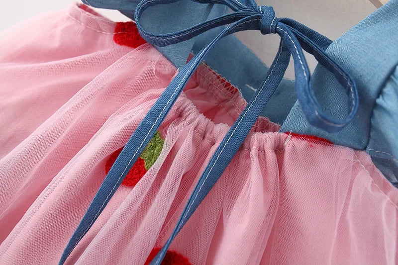 Strawberry Tulle Dress