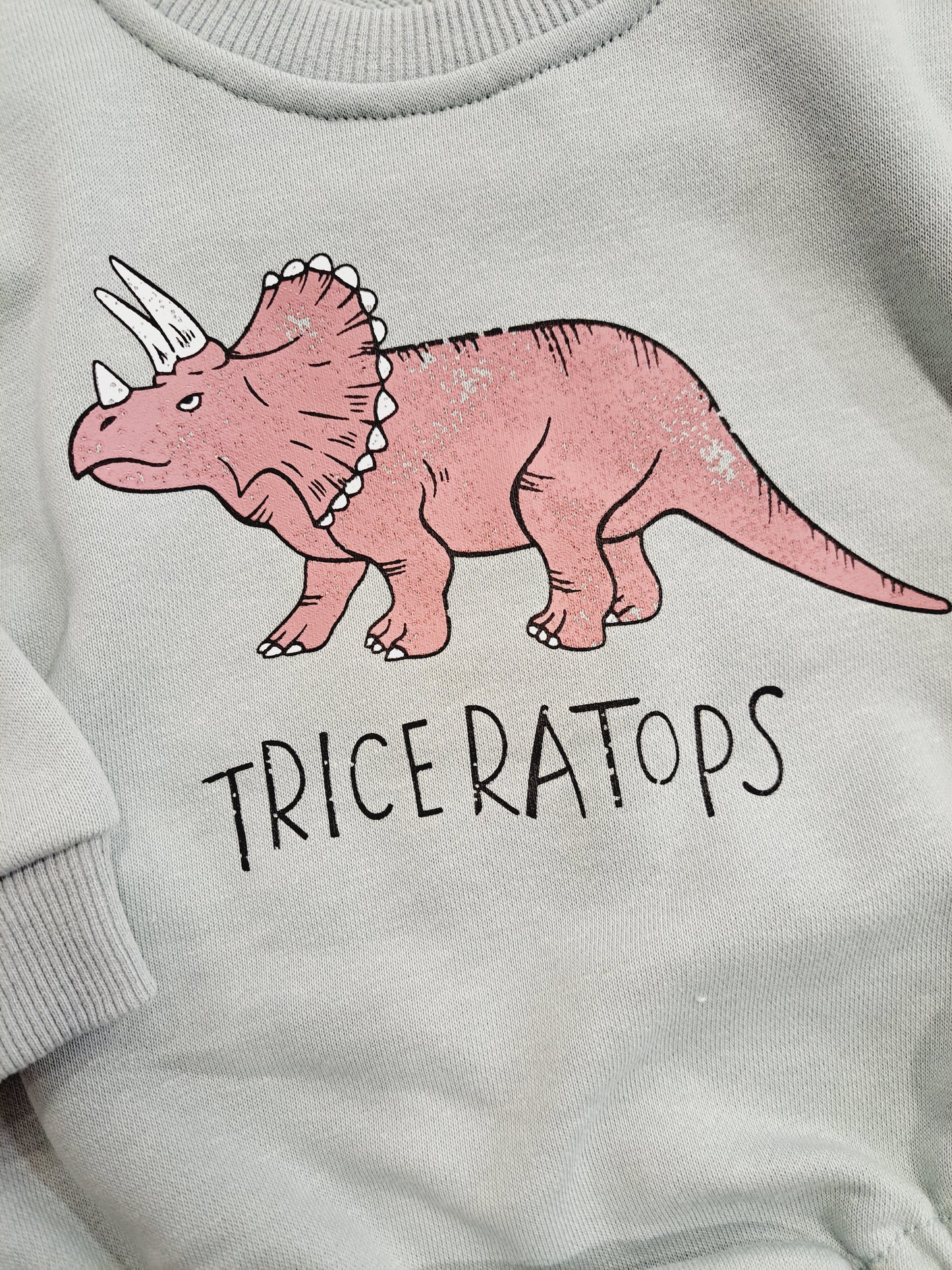 Triceratops Romper