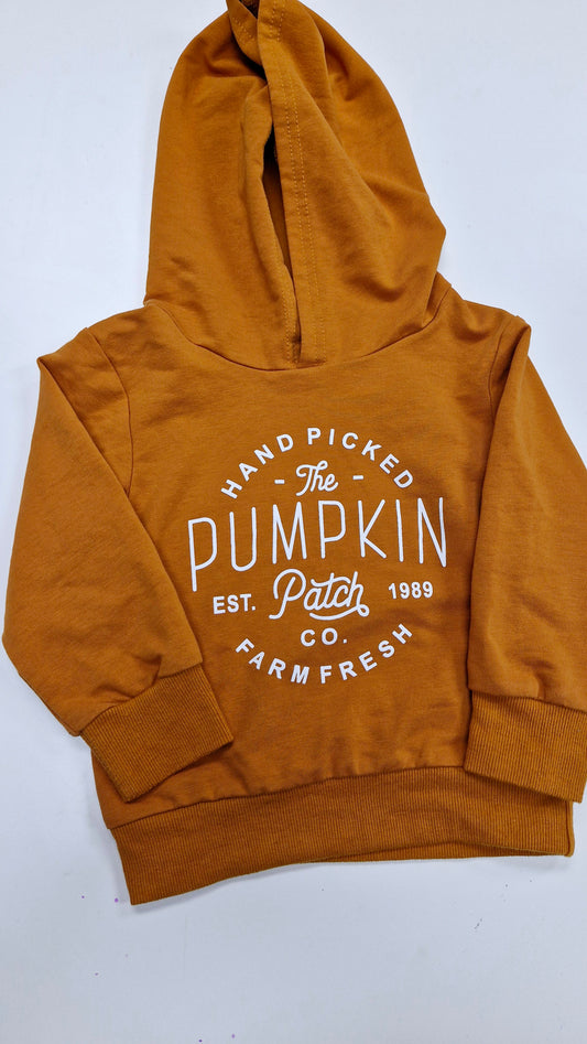 Pumpkin Patch Hoodie 2-3 years