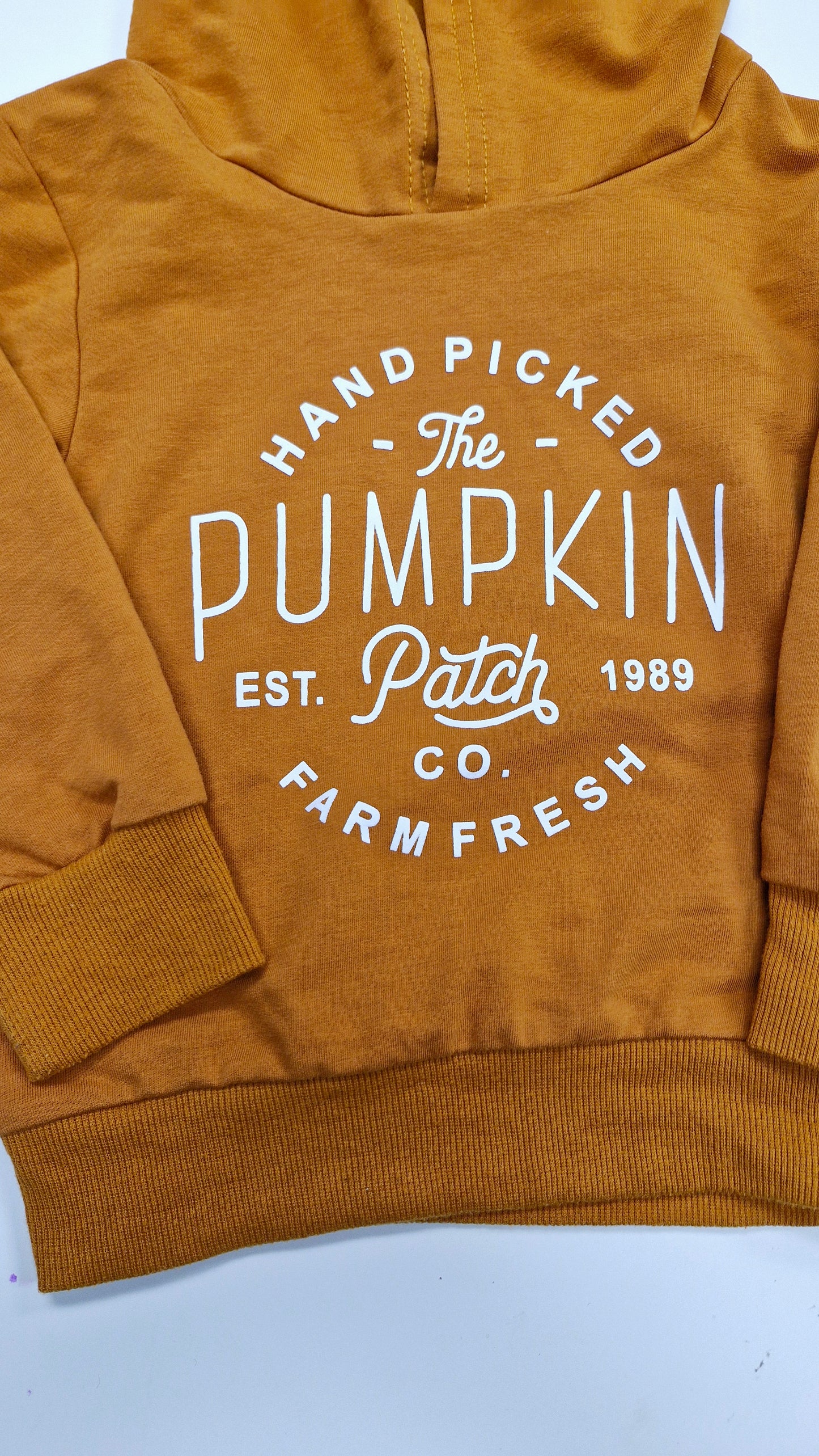 Pumpkin Patch Hoodie 2-3 years