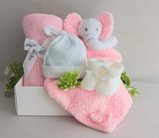 Baby Girl Giftset