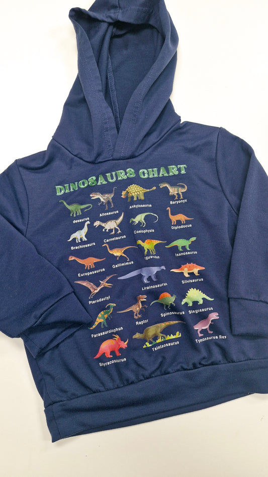 Dino Hoodie 1-2 years