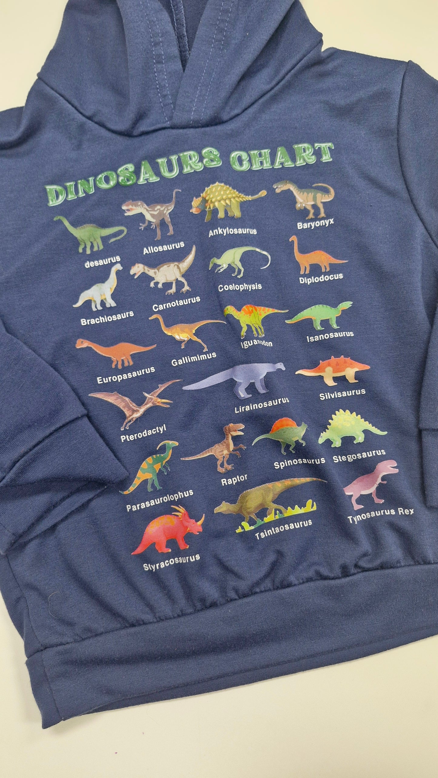 Dino Hoodie 1-2 years