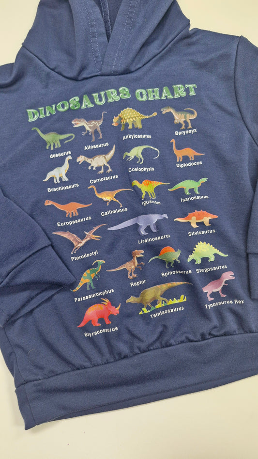 Dino Hoodie 1-2 years